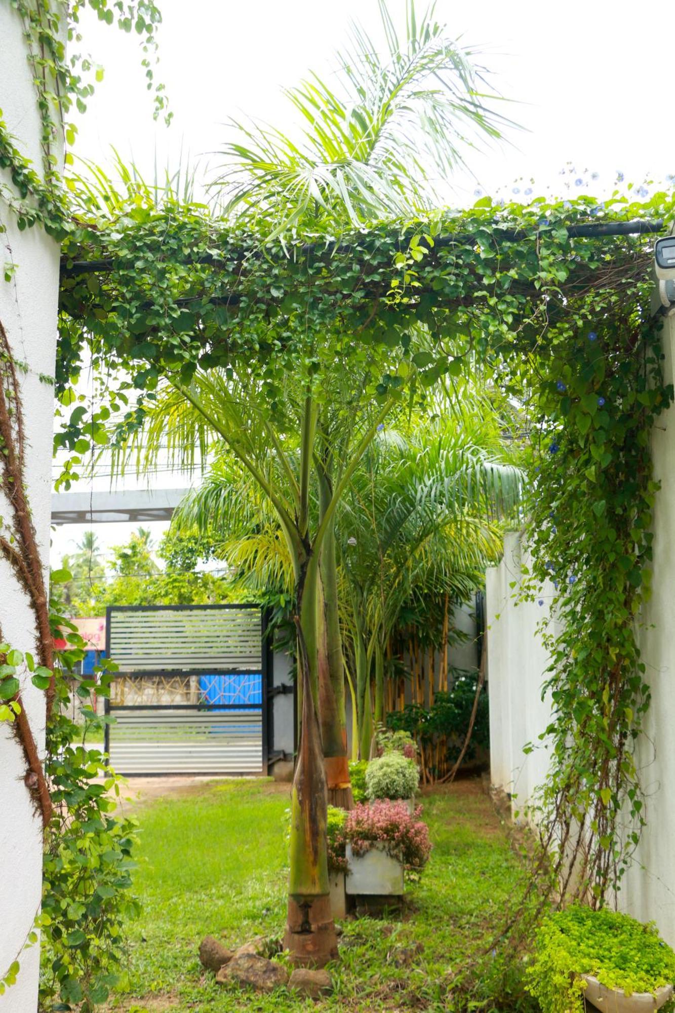טנגלה Venus Heaven Luxurious Villa מראה חיצוני תמונה
